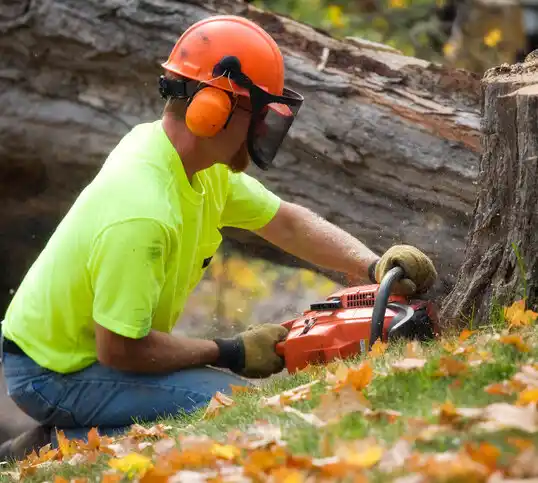 tree services Malta